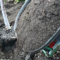 Soil & Planting Mix