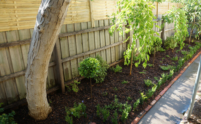 Chelsea's Finished Garden
