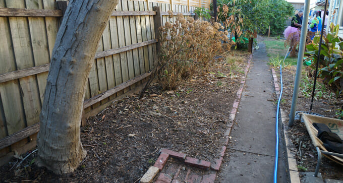 Chelsea Garden Before