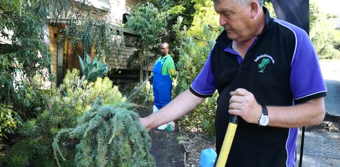 Chris and the Spruce