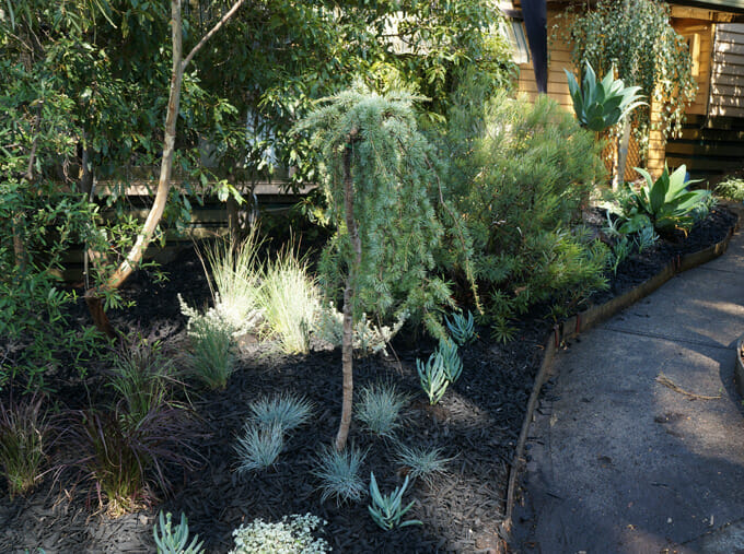 Finished Greensborough Garden