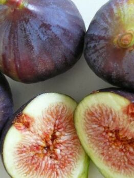 Ficus 'Black Genoa' Fig Tree 2L are cut in half and placed on a white surface.