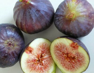 Ficus 'Black Genoa' Fig Tree 2L are cut in half and placed on a white surface.