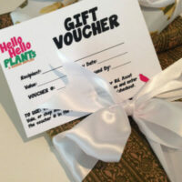 Gifts