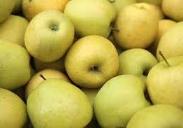 A pile of Malus 'Golden Delicious' Apples with slightly yellowish hues, reminiscent of those from golden delicious apple trees, closely packed together.