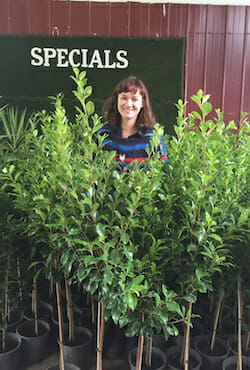 nadina-with-ficus