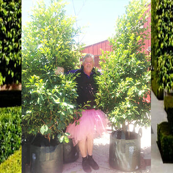 A woman in a pink tutu standing next to several potted plants.