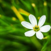 uncategorized