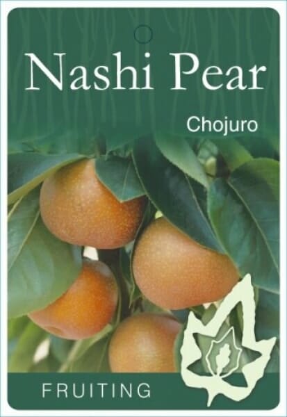 nashi asian pear label