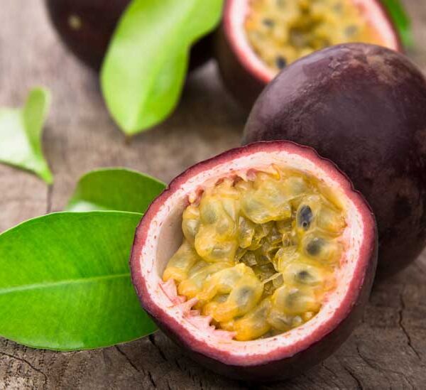Passionfruit "Fruiting"