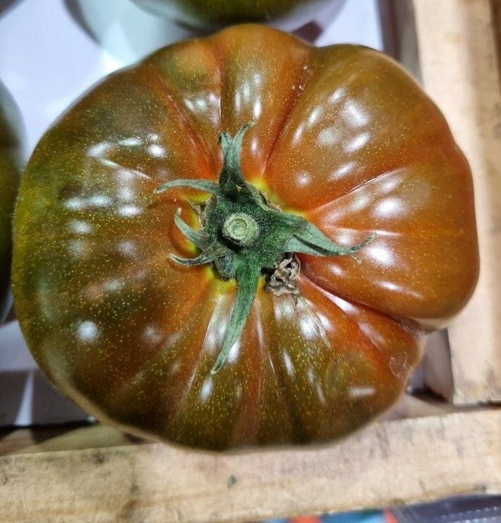 Tomato 'Black Russian' 4" Pot - Image 2