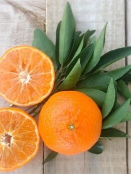 One whole and two halved Citrus Mandarin 'Murcott' oranges with fresh leaves on a wooden surface.