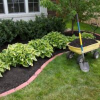 Mulch