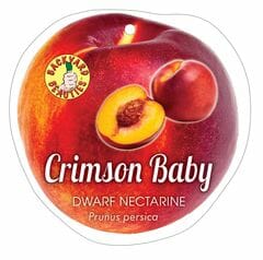 A label for "Prunus 'Crimson Baby' Nectarine (Dwarf) 10" Pot" featuring an image of a whole and halved nectarine, showcasing its vibrant color, with the botanical name "Prunus 'Crimson Baby'" and a "Backyard Beauties" logo.
