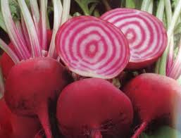 Beetroot 'Cream Rings' presented in a charming 4" pot, featuring whole and sliced beetroot with pink and white concentric rings, surrounded by leafy stems.