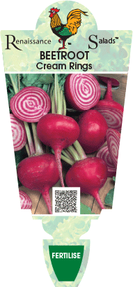 Seed packet showcasing a beetroot design with cream rings and a QR code, labeled "Beetroot 'Cream Rings' 4" Pot" from Renaissance Salads, ideal for sowing. The word "Fertilise" is stylishly inscribed at the bottom.