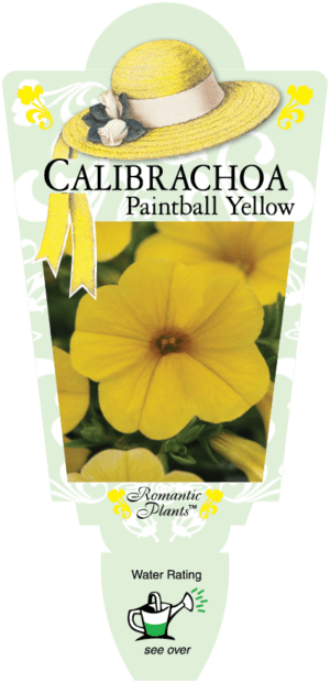 Plant label for Calibrachoa 'Yellow' in a 6" pot, featuring a vibrant image of its radiant yellow flowers next to the water rating symbol.