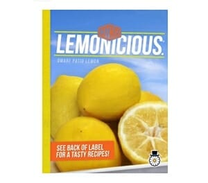 Citrus Lemon 'Lemonicious' - Image 3