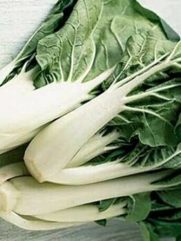 A trio of Pak Choi 'White' Baby Bok Choi plants, with their distinctive white stalks and lush green leaves, are arranged gracefully on a light surface, highlighting their vibrant allure.