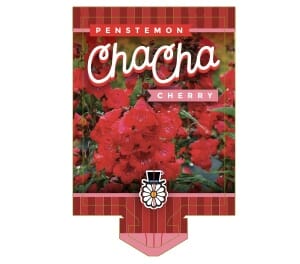The "Penstemon 'Cha Cha Cherry' 6" Pot" label showcases vivid red blossoms alongside a delightful decorative top hat emblem.