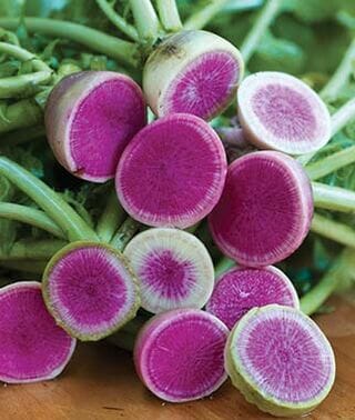 Radish 'Watermelon' from a 4" pot, featuring vibrant pink centers and light green borders, are artistically arranged on a wooden surface.