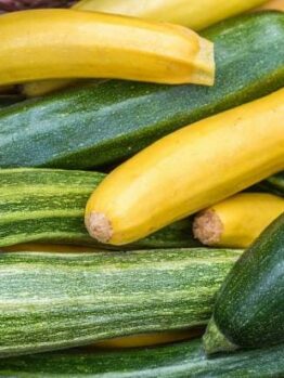A basket filled with Zucchini 'Green and Gold' from a 4" pot, ready to add vibrant flavor to your meal.