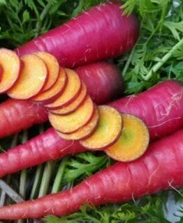 Cosmic Purple carrots from a 4" pot, featuring leafy tops and an orange interior, are arranged on a surface with one sliced to reveal its inside.