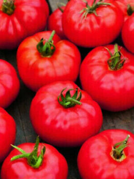 Several ripe, red 'Burnly Bounty' tomatoes with green stems rest on a wooden surface, highlighting their vibrant freshness.