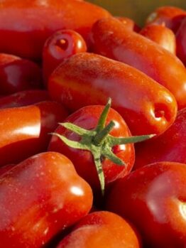 A pile of red San Marzano tomatoes, one with a green stem, from the Tomato 'San Marzano' 4" Pot.