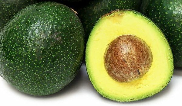 Close-up of whole and halved Persea 'Reed' Avocado 4L Pot revealing the seed and creamy green flesh.
.