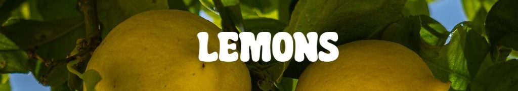 Two ripe lemons hanging from a tree with green leaves; the word "LEMONS" appears in bold white letters across the centre, making it a fresh addition to any list of plants for Mother’s Day.