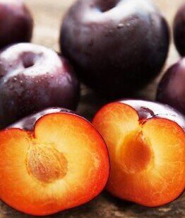 Several whole Prunus 'Spring Satin™ Plumcot' Dwarf 7" Pot plums with dark purple skin are shown, one cut in half to display its orange flesh and pit.