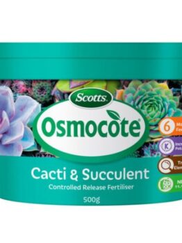 A 500g pack of Osmocote Controlled Release Fertiliser: Cacti and Succulent, with clear labels and images of healthy succulents on its packaging.