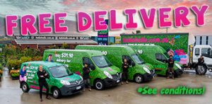 Free Delivery