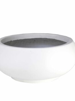 GardenLite Bowl White Single decorative pot for feature plants