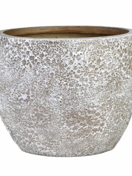 SeaLit Bermuda Planter White singular pot for feature plant
