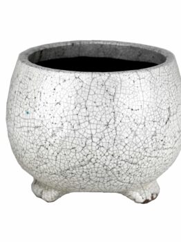 Tang Bowl White with Feet decorative pot for feature plants glazed pots