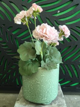 Tang cylinder feature pot green for feature plants grazed pots green with pink flowers and green leaves