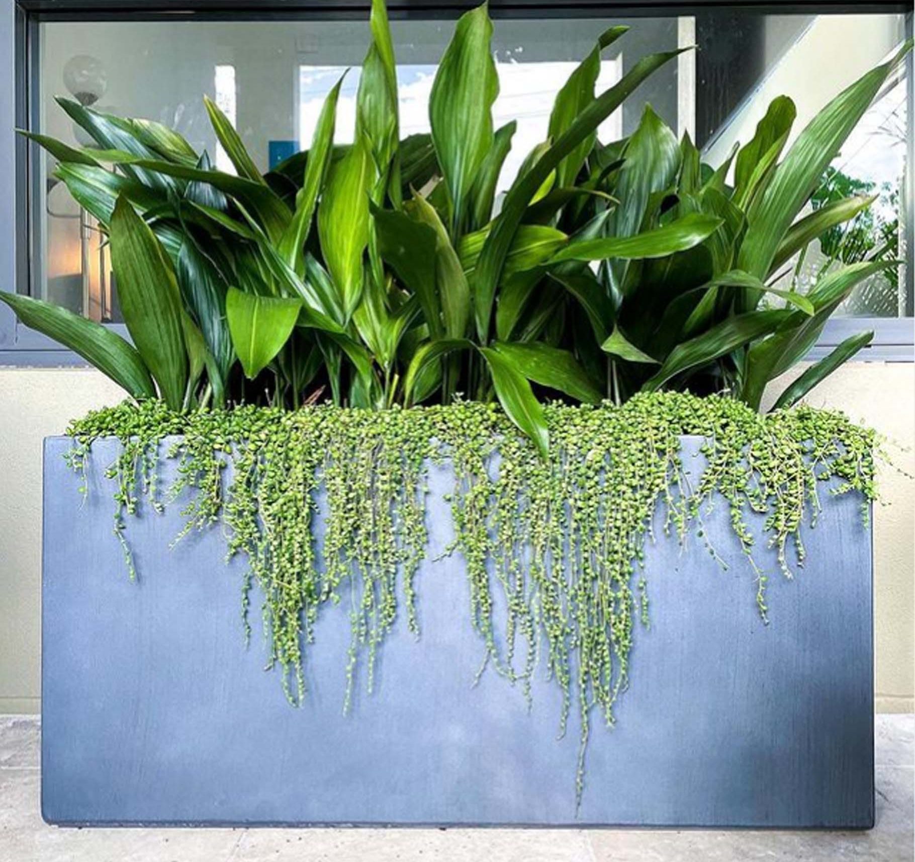 Trough planter pots