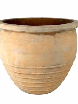 A large orange terracotta pot on a white background. feature pot for decorative plants