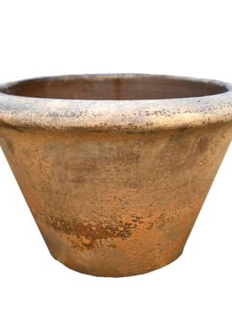 A large terra cotta planter on a white background. Terracotta squatcono planter pot orange rustic coloured for feature plants
