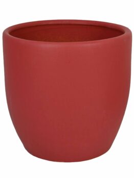 A Tang Egg Pot Glazed Red with Saucer pot for feature plants in garden