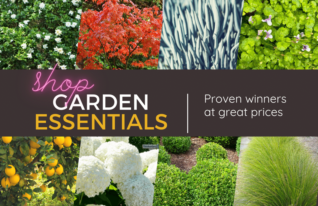 Garden Essentials