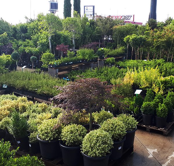 Nursery