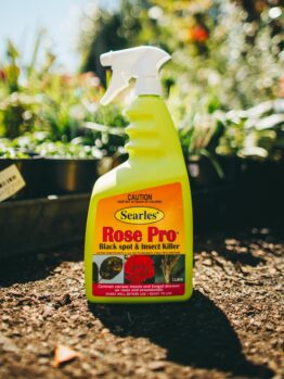 A bottle of Searles Rose Pro Insect & Disease Spray 1L, an effective insect and disease spray, sits on the ground.