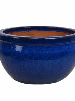 A beautifully glazed Glazed Roll-Top Planter Moss Green XL 58x 48cm (Copy) in a striking blue hue, filled with rich soil, is isolated on a pristine white background.