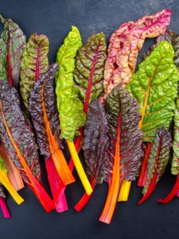 A variety of fresh, multicolored Swiss chard leaves arranged on a dark surface.
