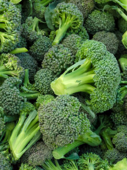 A vibrant pile of Broccoli 'Green' 4" Pot, brimming with natural goodness.