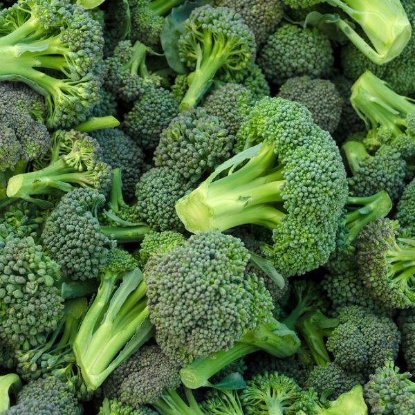 A vibrant pile of Broccoli 'Green' 4" Pot, brimming with natural goodness.