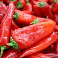 A close-up image of the vibrant Capsicum 'Mr Big' Chilli Peppers in 4" pots, with their red flesh and green stems densely piled together.